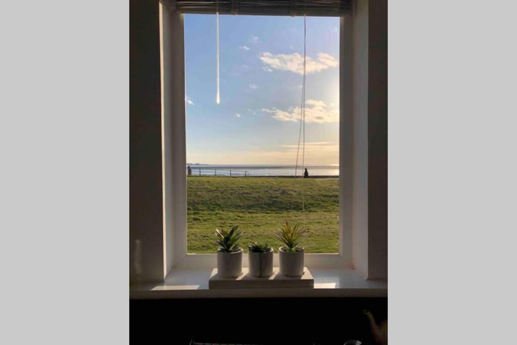 Cockledora, A Luxury Ground Floor Beachfront Apartment Llanelli Eksteriør billede